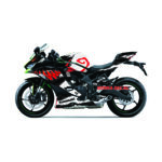 Decal Kawasaki ZX25R Anti Venom