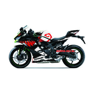 Decal Kawasaki ZX25R Anti Venom