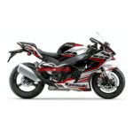Decal Kawasaki ZX10R White Mix Black Red