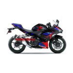 Decal sticker full body New Ninja 250 Livery BMW