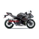 Decal sticker full body New Ninja 250 WSBK Wintertest